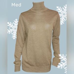 Zara Men Brown Turtleneck Sweater Medium